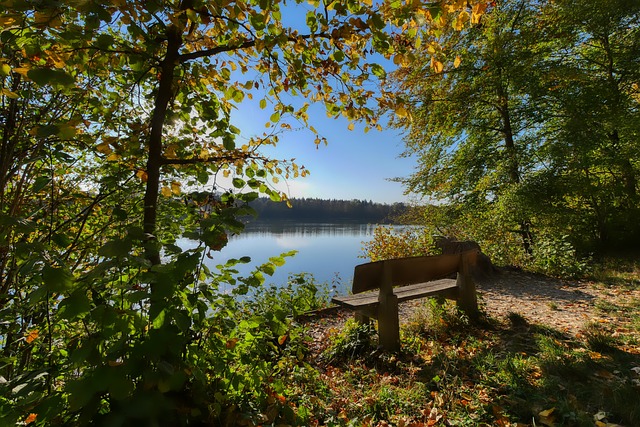 一杯水鉴定真假翡翠，快来看看吧.